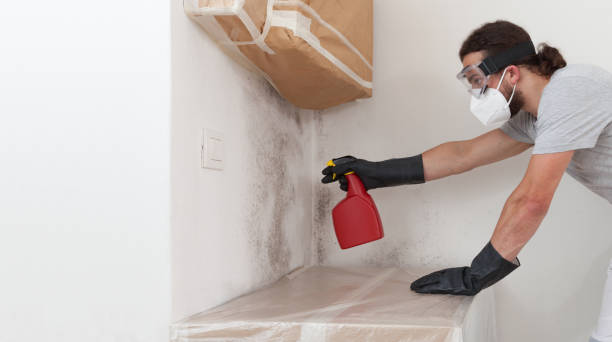 Professional Bathroom Mold Removal technician working in Gainesville, FL